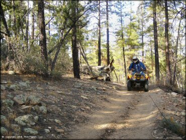 Sheridan Mountain Smith Mesa OHV Trail System