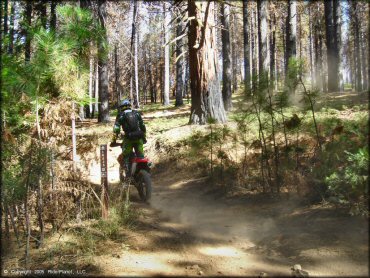 Honda CRF Trail Bike at Elkins Flat OHV Routes Trail