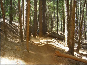 Honda CRF Motorcycle at Elkins Flat OHV Routes Trail