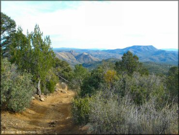 Scenic view of Sheridan Mountain Smith Mesa OHV Trail System