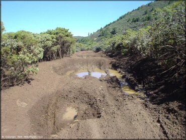 Example of terrain at South Cow Mountain Trail