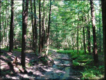 A trail at Camden ATV Trail