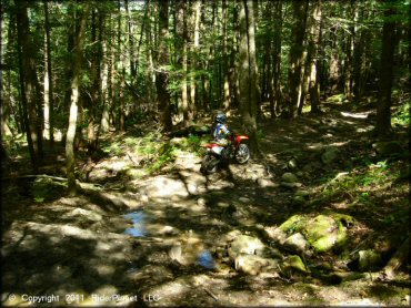 Honda CRF Motorbike at Beartown State Forest Trail