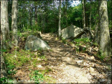 Example of terrain at Wrentham Trails