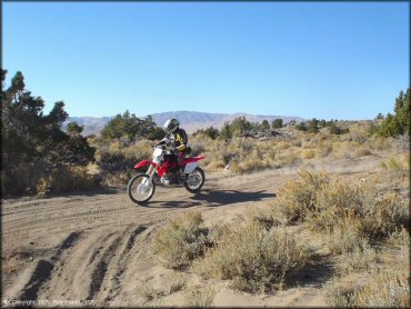 OHV at Stead MX OHV Area