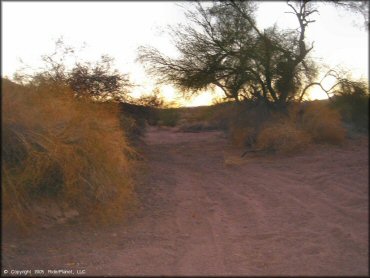 Example of terrain at Crossroads OHV Area Trail