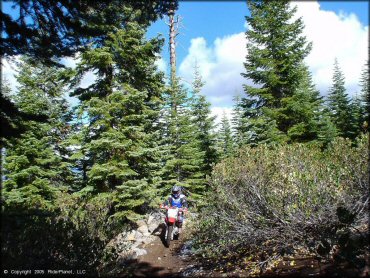 Honda CRF Dirt Bike at Prosser Hill OHV Area Trail