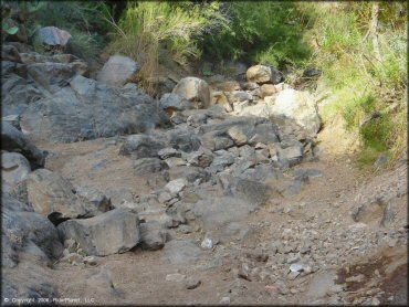 A trail at Log Corral Canyon Trail