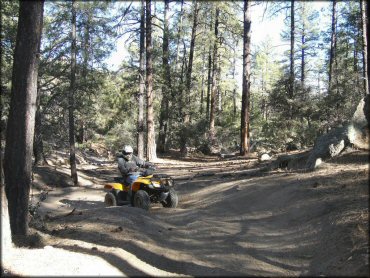 OHV at Alto Pit OHV Area Trail