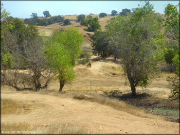 Honda CRF Off-Road Bike at La Grange OHV Park OHV Area