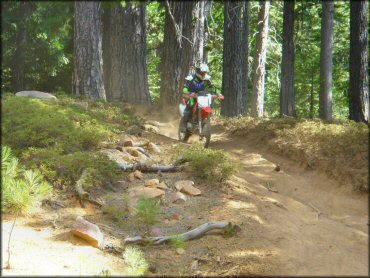Honda CRF Dirtbike at Elkins Flat OHV Routes Trail