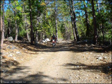Honda CRF Dirt Bike at Indian Springs Trail