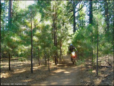 Honda CRF Off-Road Bike at Gold Note Trails