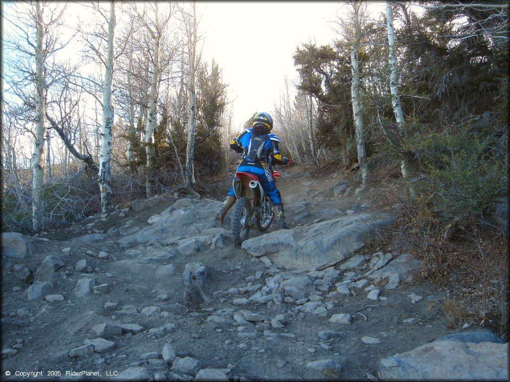 Honda CRF Dirt Bike at Hunter Lake Trail