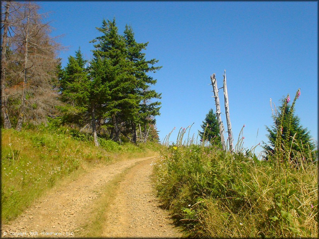A trail at Prairie Peak Trail