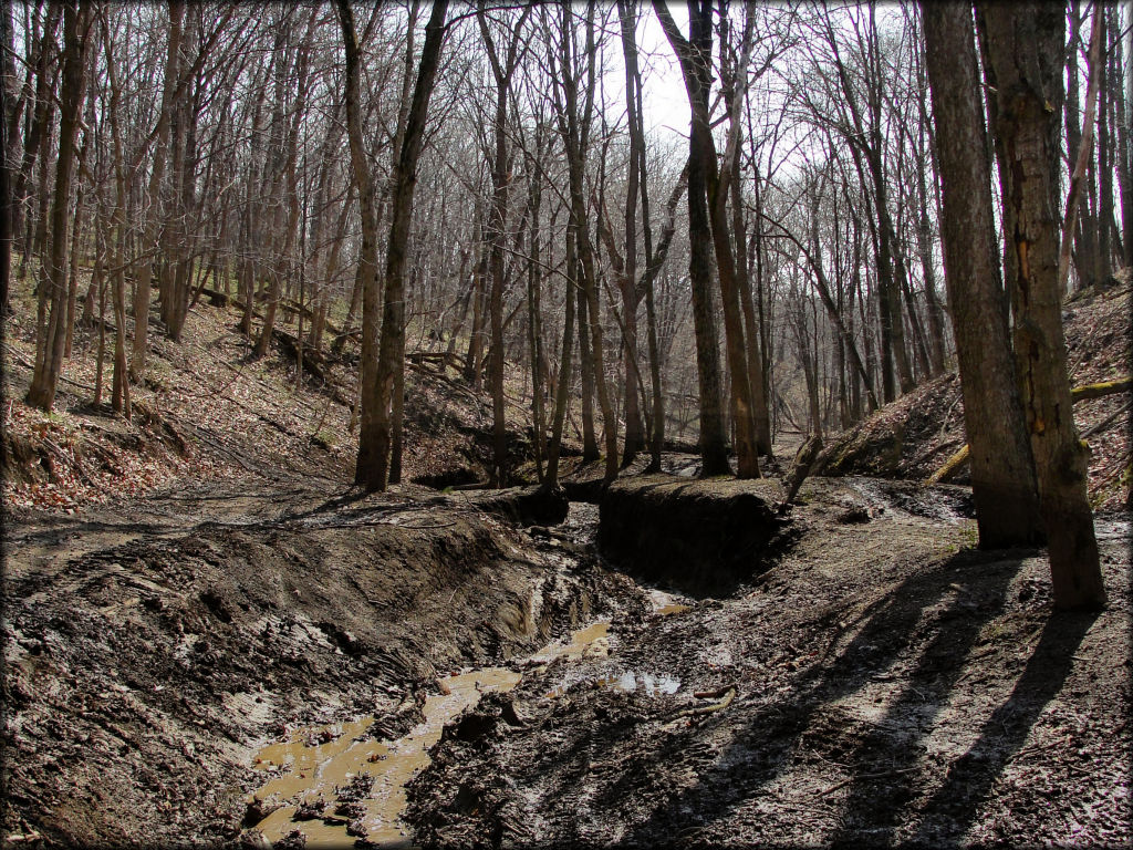 A muddy section at The Cliffs Off Road Park Trail