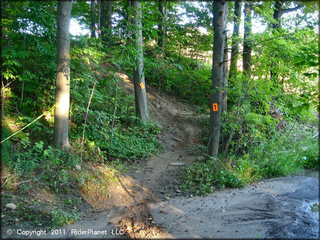 Some terrain at Hogback Hill Motocross OHV Area