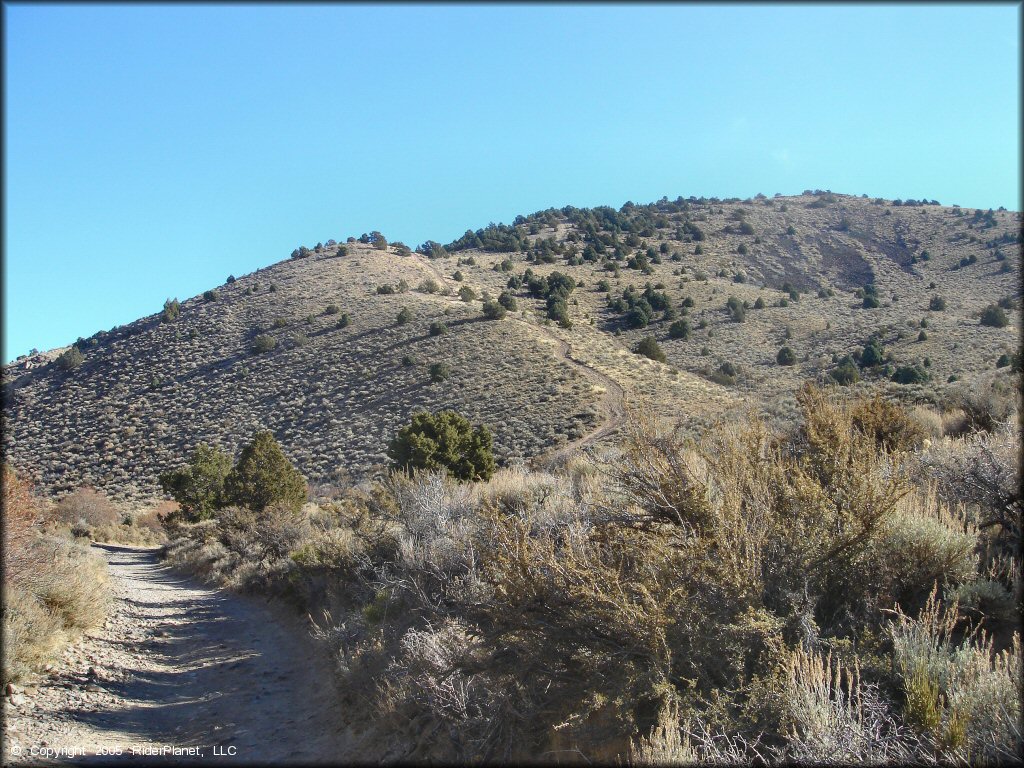 A trail at Washoe Valley Jumbo Grade OHV Area