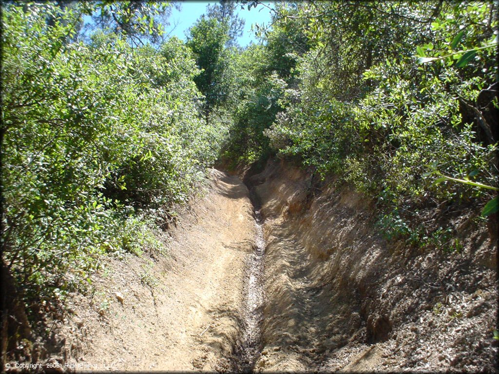 Example of terrain at South Cow Mountain Trail