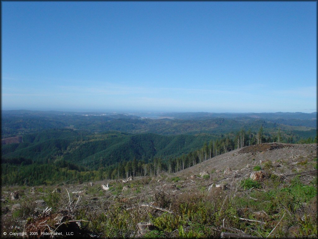 Scenic view of Blue Ridge Trails