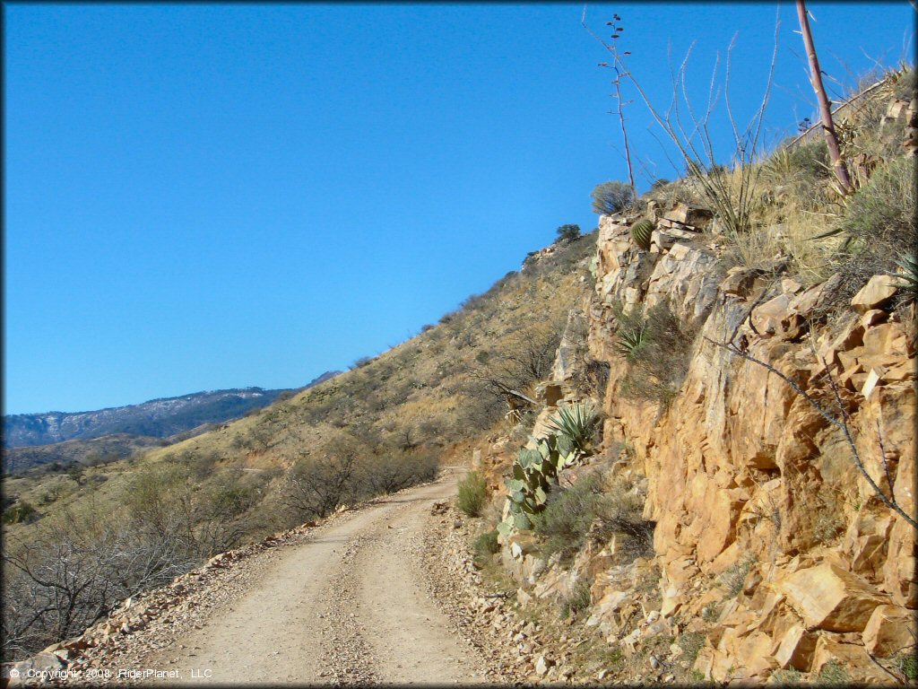 Mt. Lemmon Control Road Trail