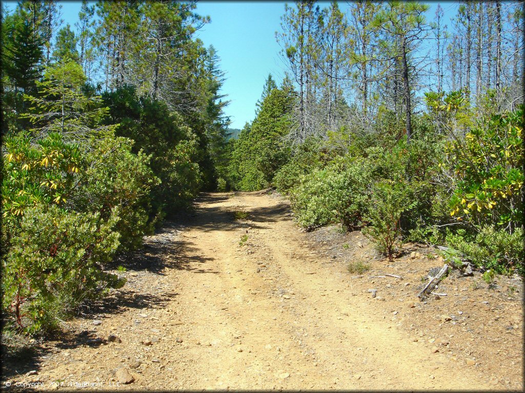 Terrain example at Rattlesnake Ridge Area Trail