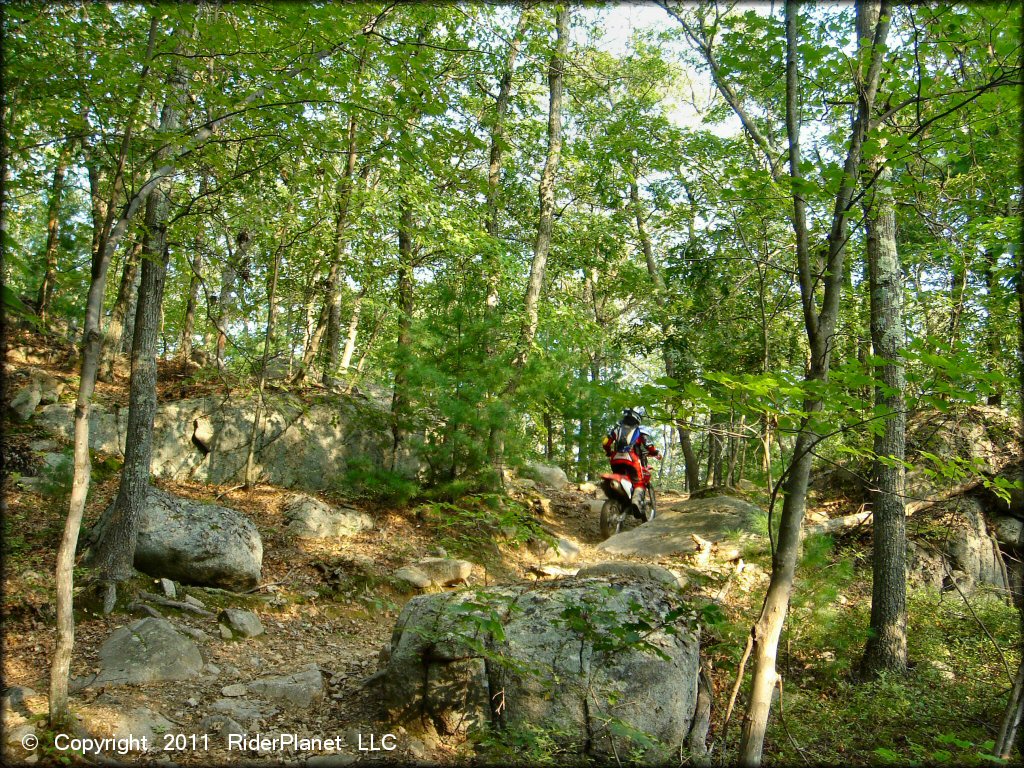 Honda CRF Trail Bike at F. Gilbert Hills State Forest Trail