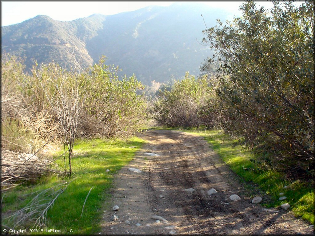 Example of terrain at San Gabriel Canyon OHV Area