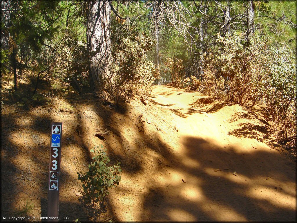 A trail at Gold Note Trails