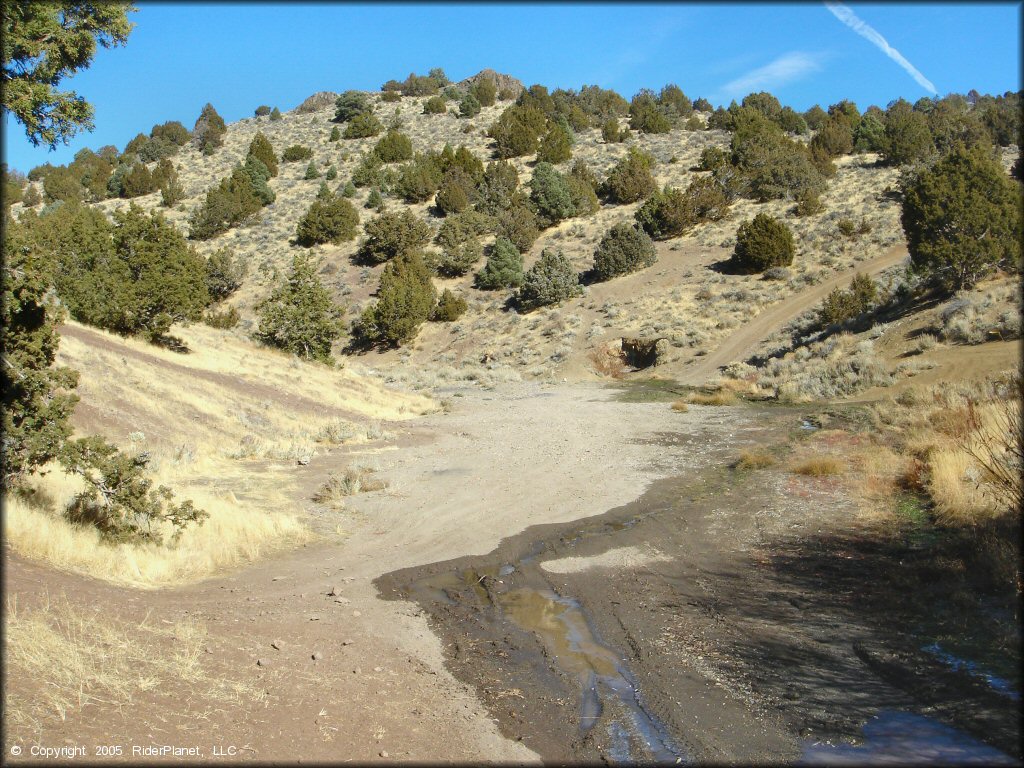 Some terrain at Washoe Valley Jumbo Grade OHV Area