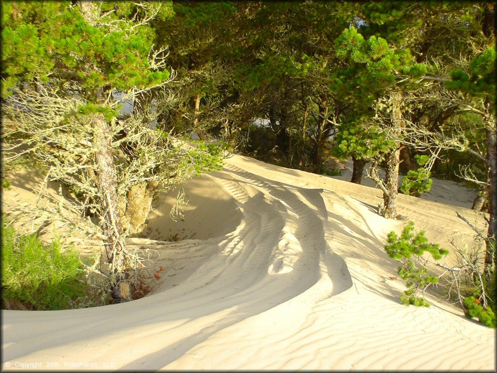 Oregon Dunes NRA - Florence Dune Area