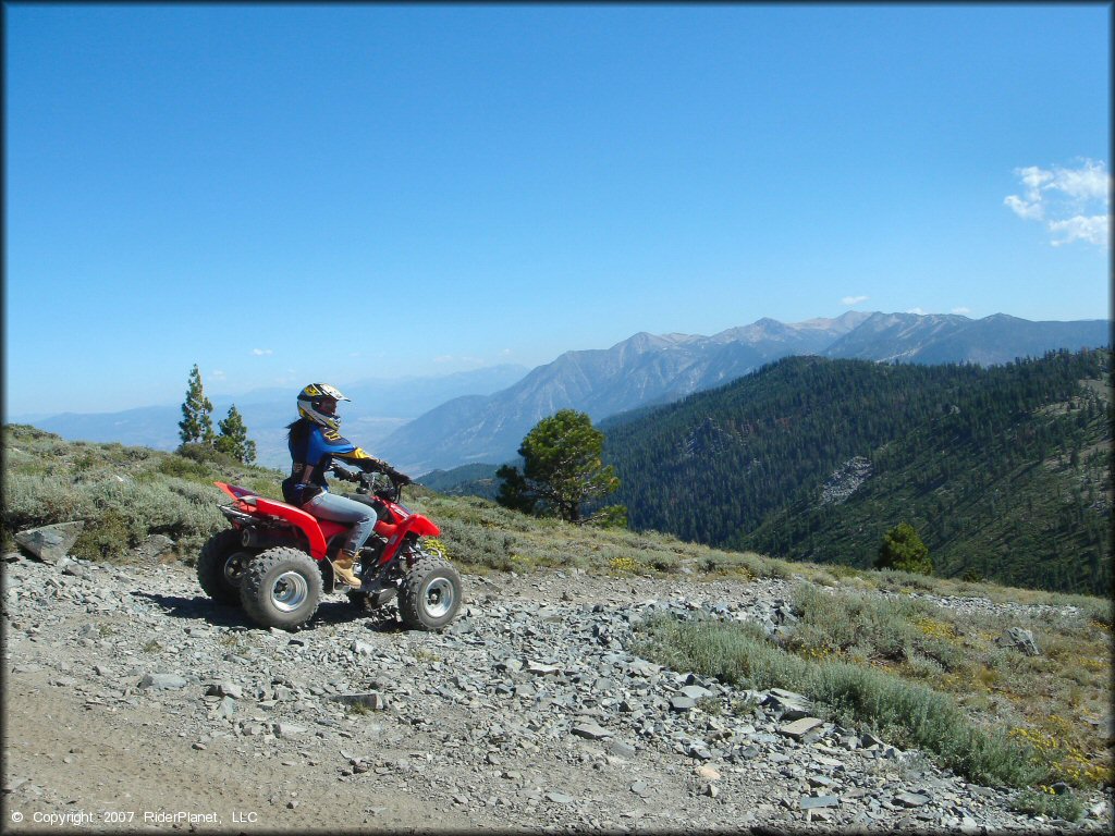 Female rider on a Honda OHV at South Camp Peak Loop Trail