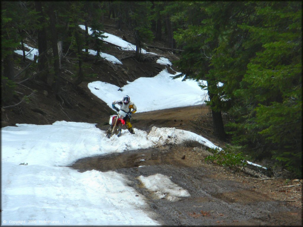 Honda CRF Dirtbike at Verdi Peak OHV Trail