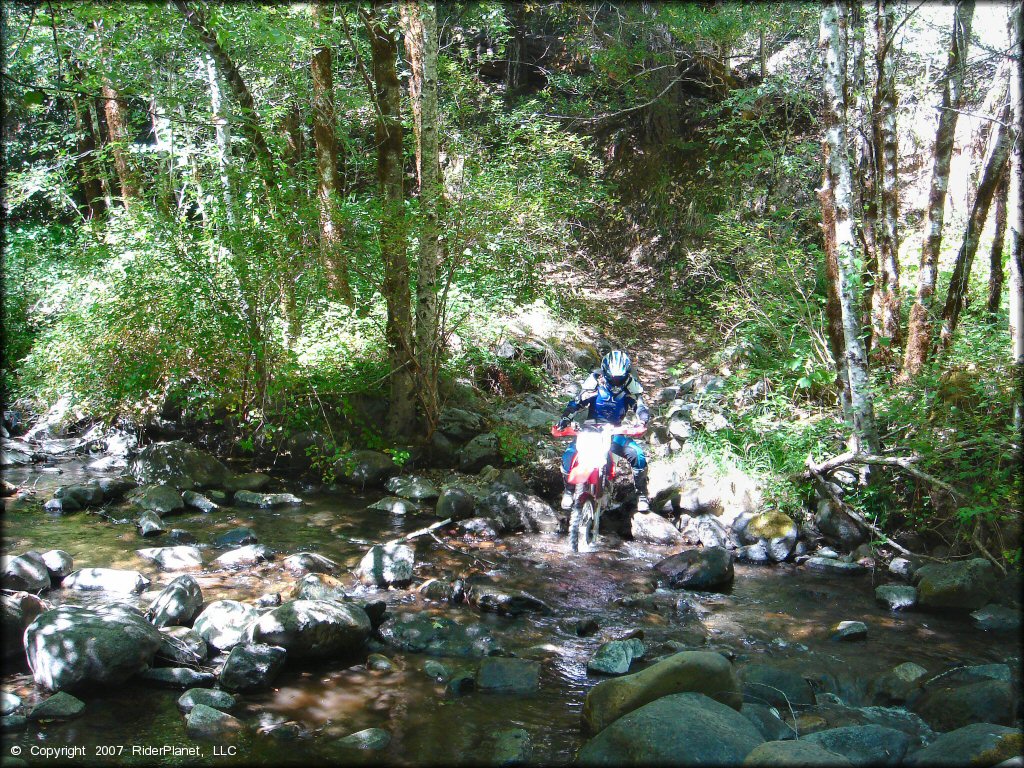 Woman on a Honda CRF Motorcycle traversing the water at High Dome Trail