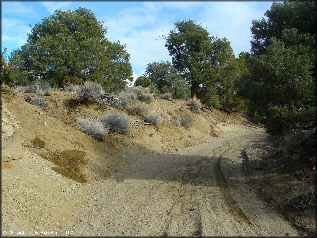 Terrain example at Old Sheep Ranch Trail