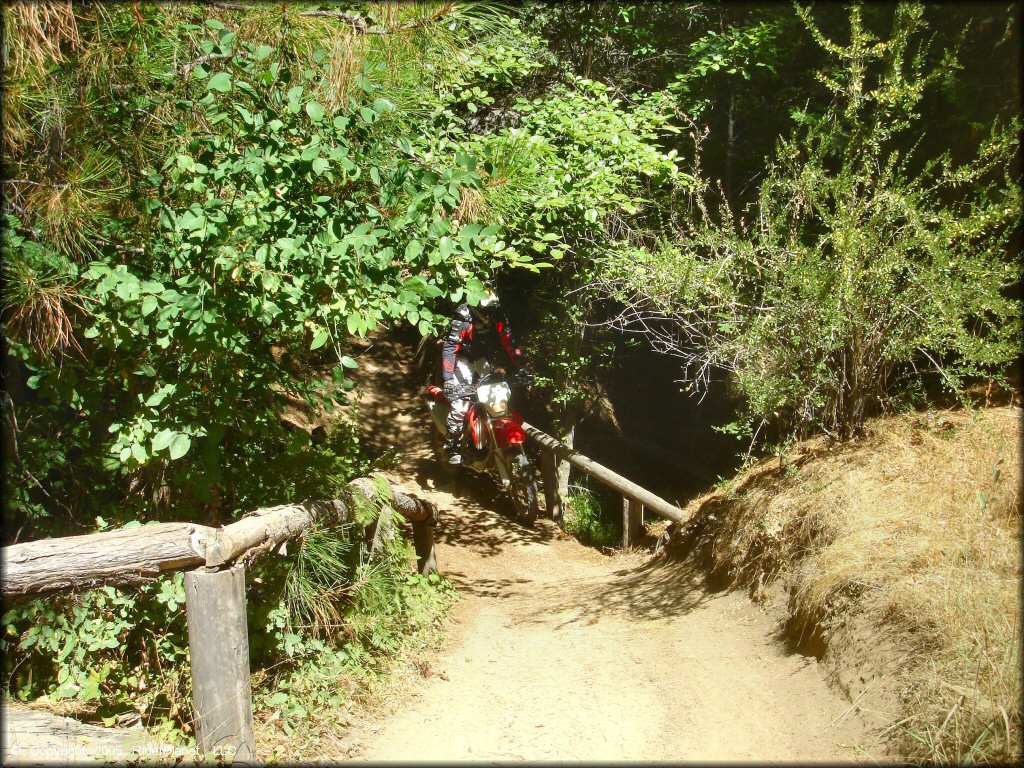 Honda CRF Motorbike at Miami Creek OHV Area Trail
