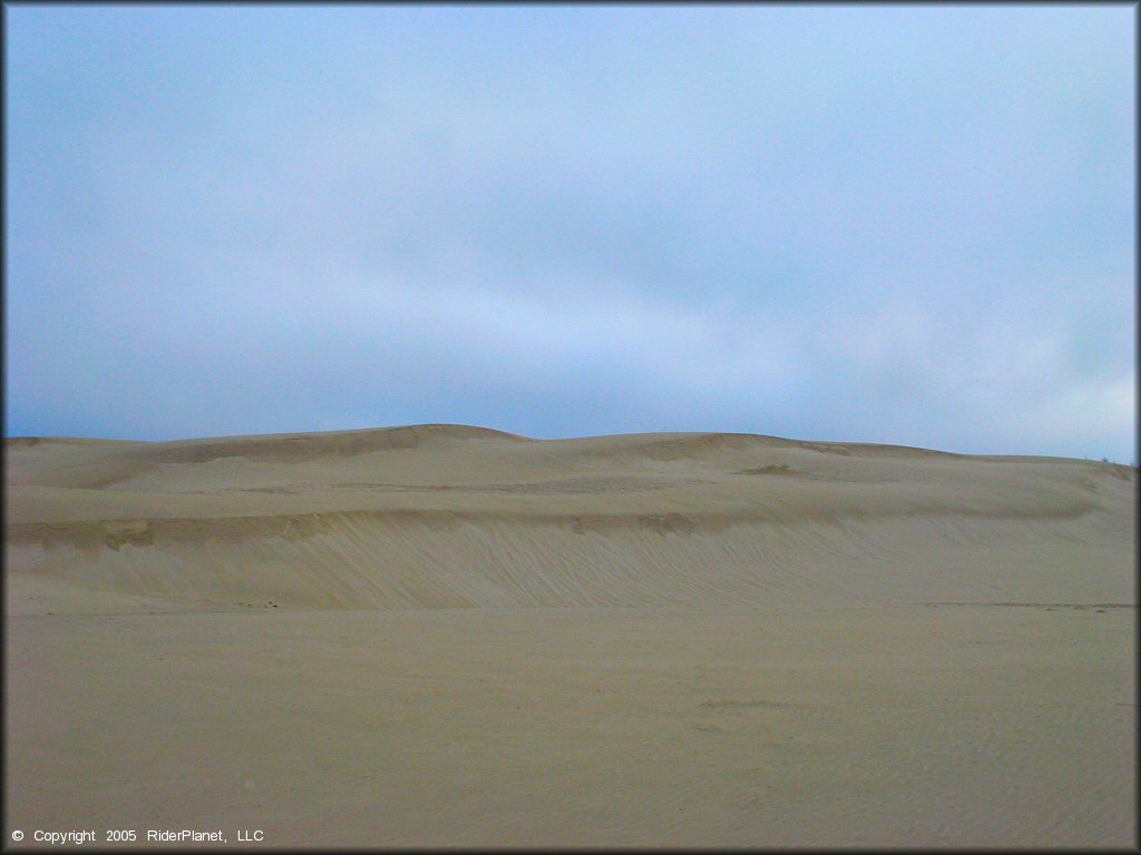 Some terrain at Oregon Dunes NRA - Florence Dune Area