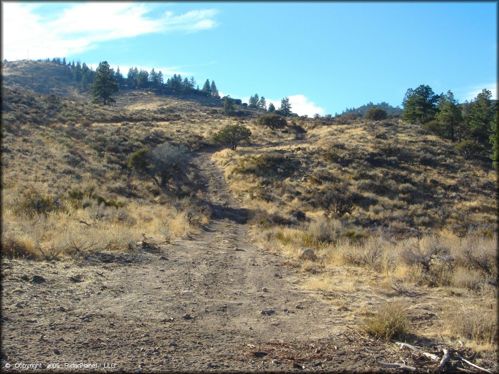 Example of terrain at Hunter Lake Trail