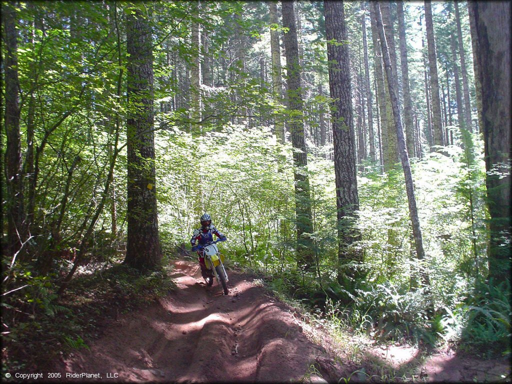 Woman on a OHV at Upper Nestucca Motorcycle Trail System