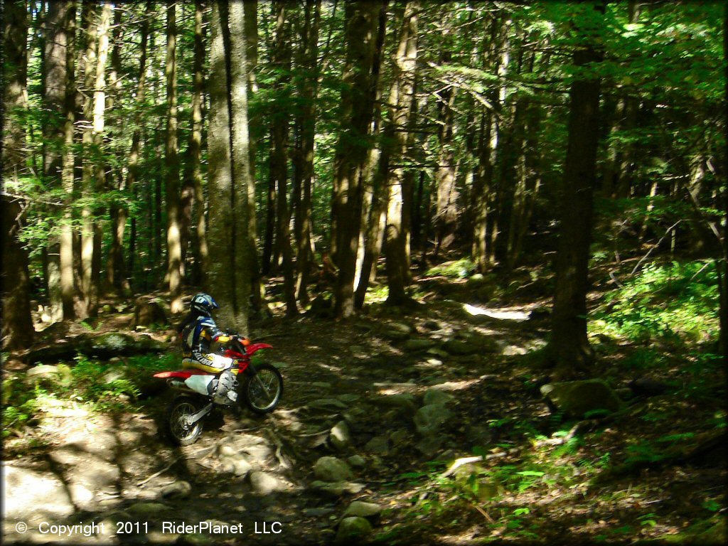 Honda CRF Off-Road Bike at Beartown State Forest Trail