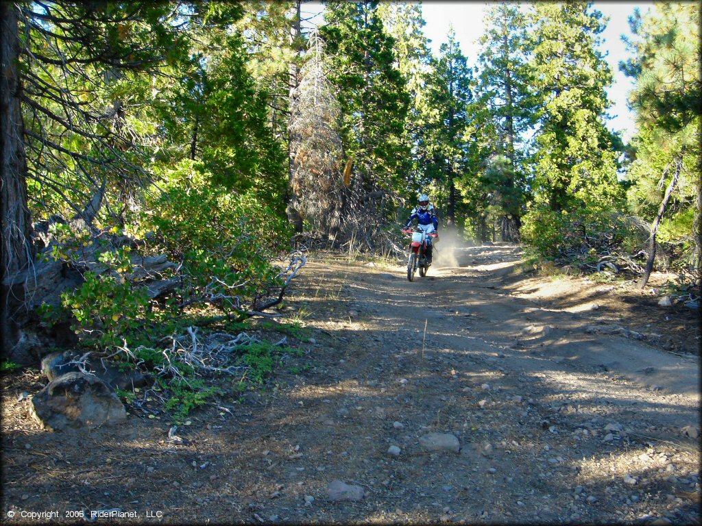 Honda CRF Off-Road Bike at Black Springs OHV Network Trail