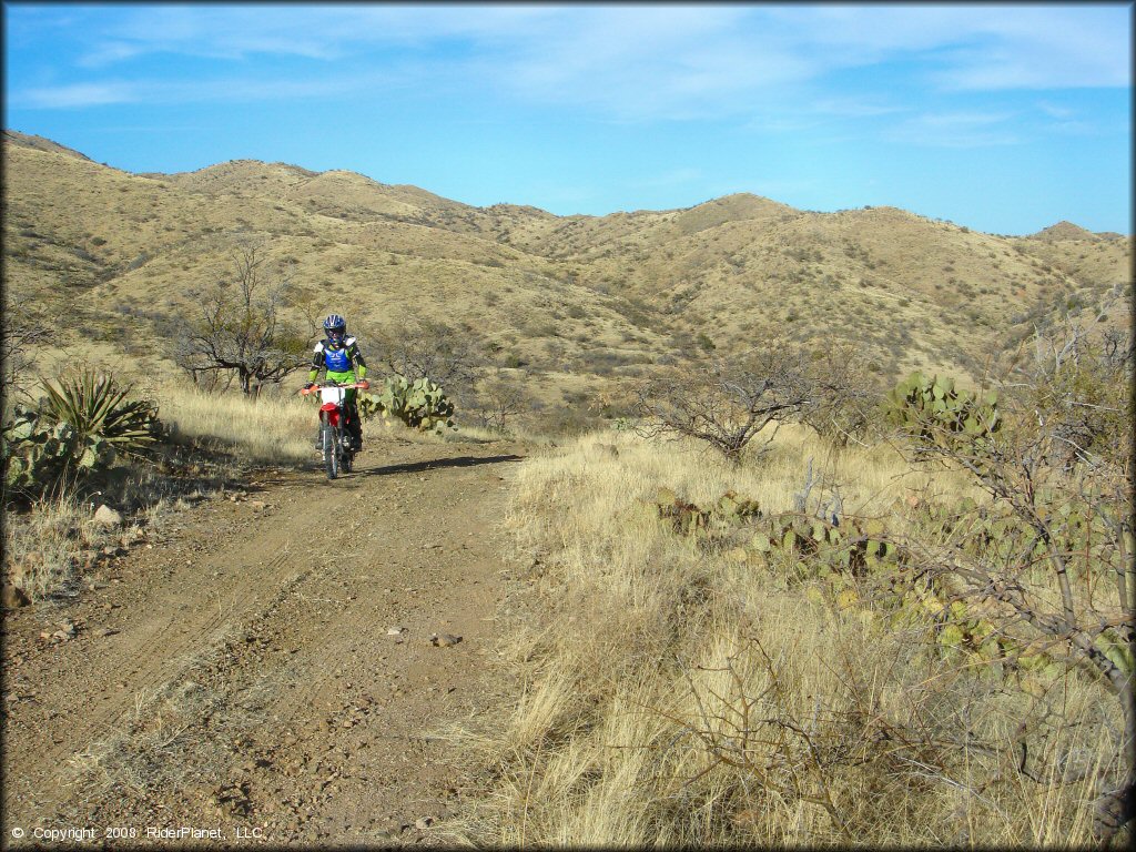 Girl riding a Honda CRF Dirt Bike at Santa Rita OHV Routes Trail