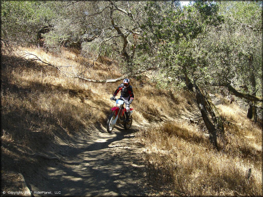 Honda CRF Dirt Bike at Santa Clara County Motorcycle Park OHV Area
