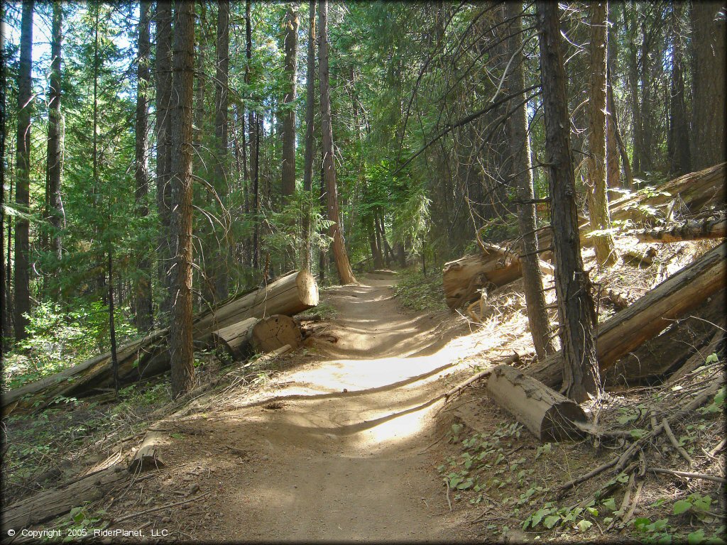A trail at Elkins Flat OHV Routes Trail