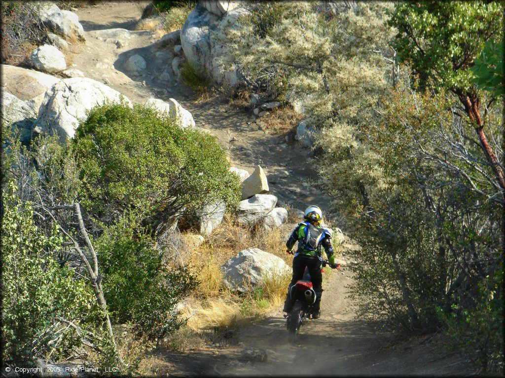 Woman riding a Honda dirt bike heading down short section of ATV trail.