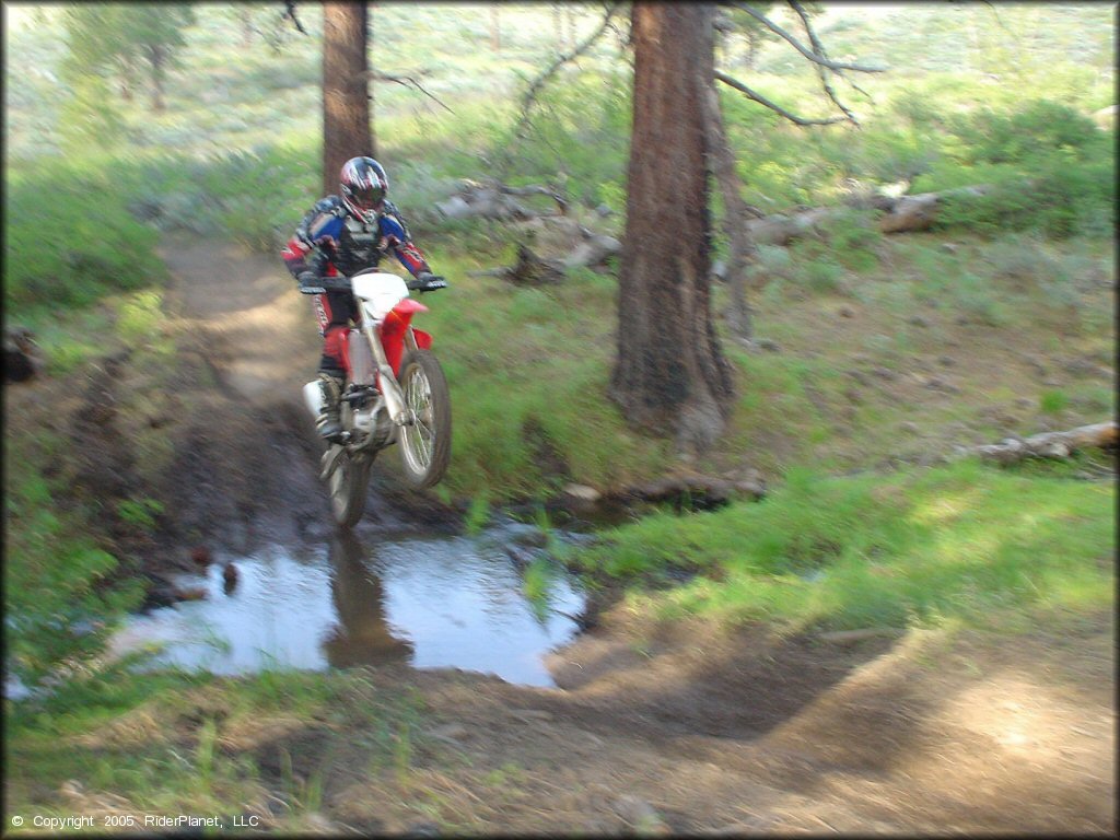 Honda CRF Motorbike traversing the water at Bull Ranch Creek Trail