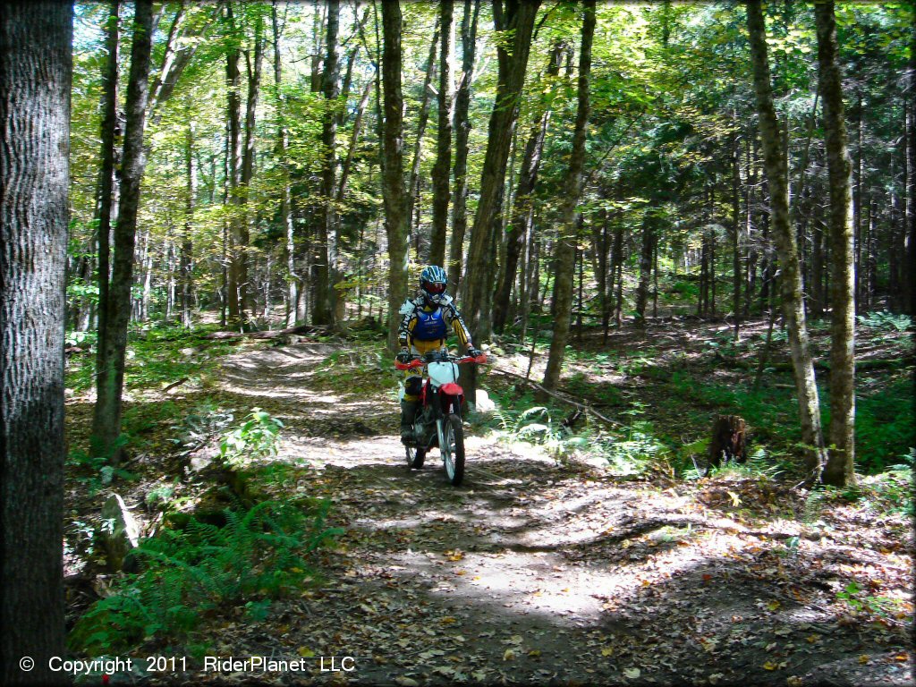 Honda CRF Dirtbike at Beartown State Forest Trail