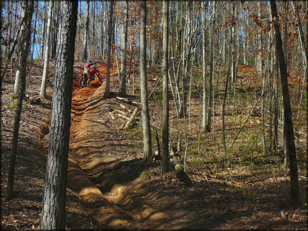 Man on Honda dirt bike trying to go up steep and rutted ATV trail.