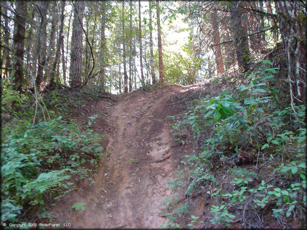 Example of terrain at Low Pass Trail