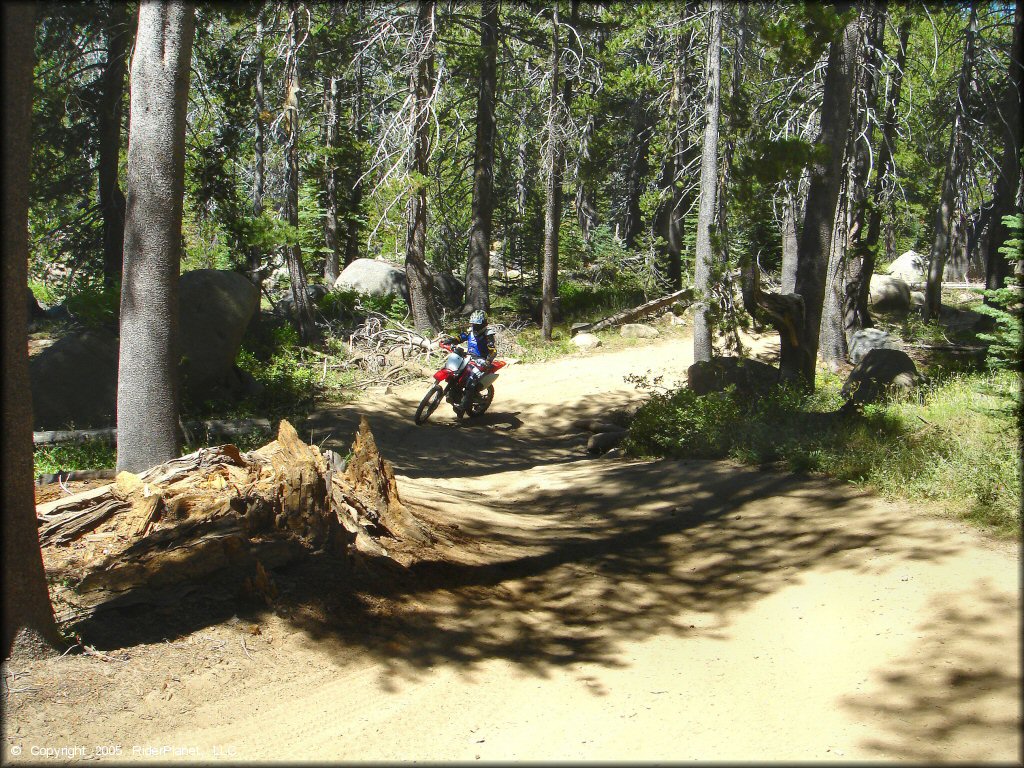 Honda CRF Motorcycle at Lower Blue Lake Trail